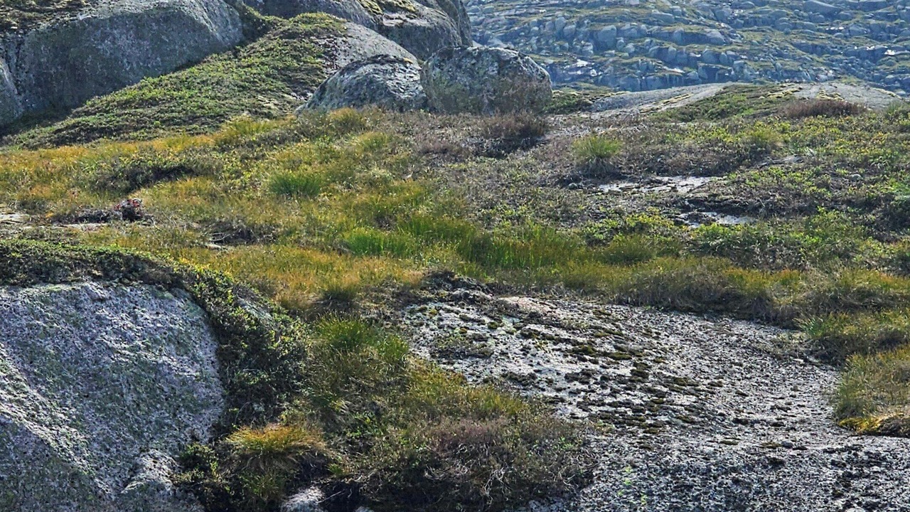 Photo of Others in Sirdal