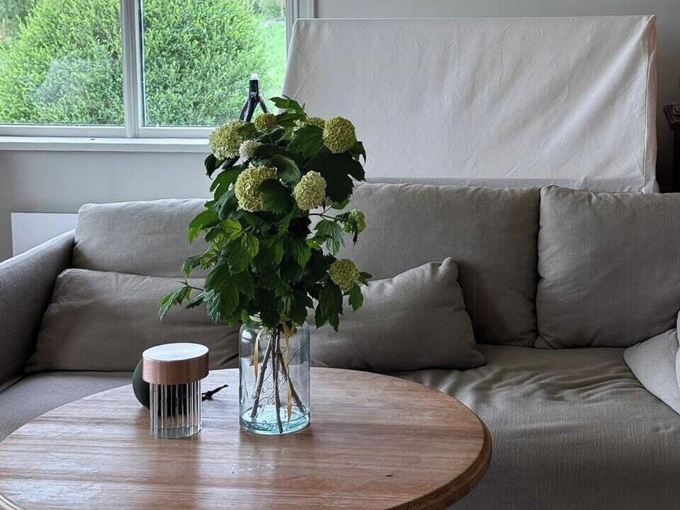 Photo of Livingroom in Finnoy