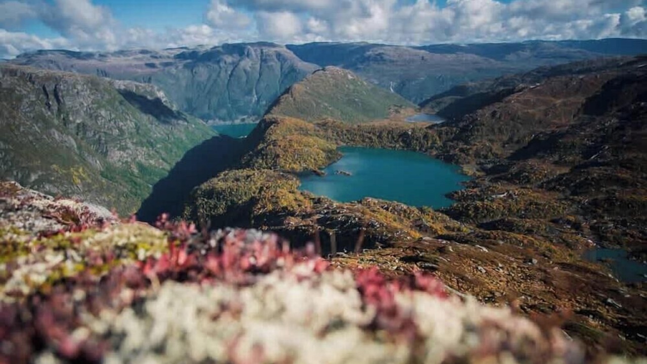 Photo of Others in Odda