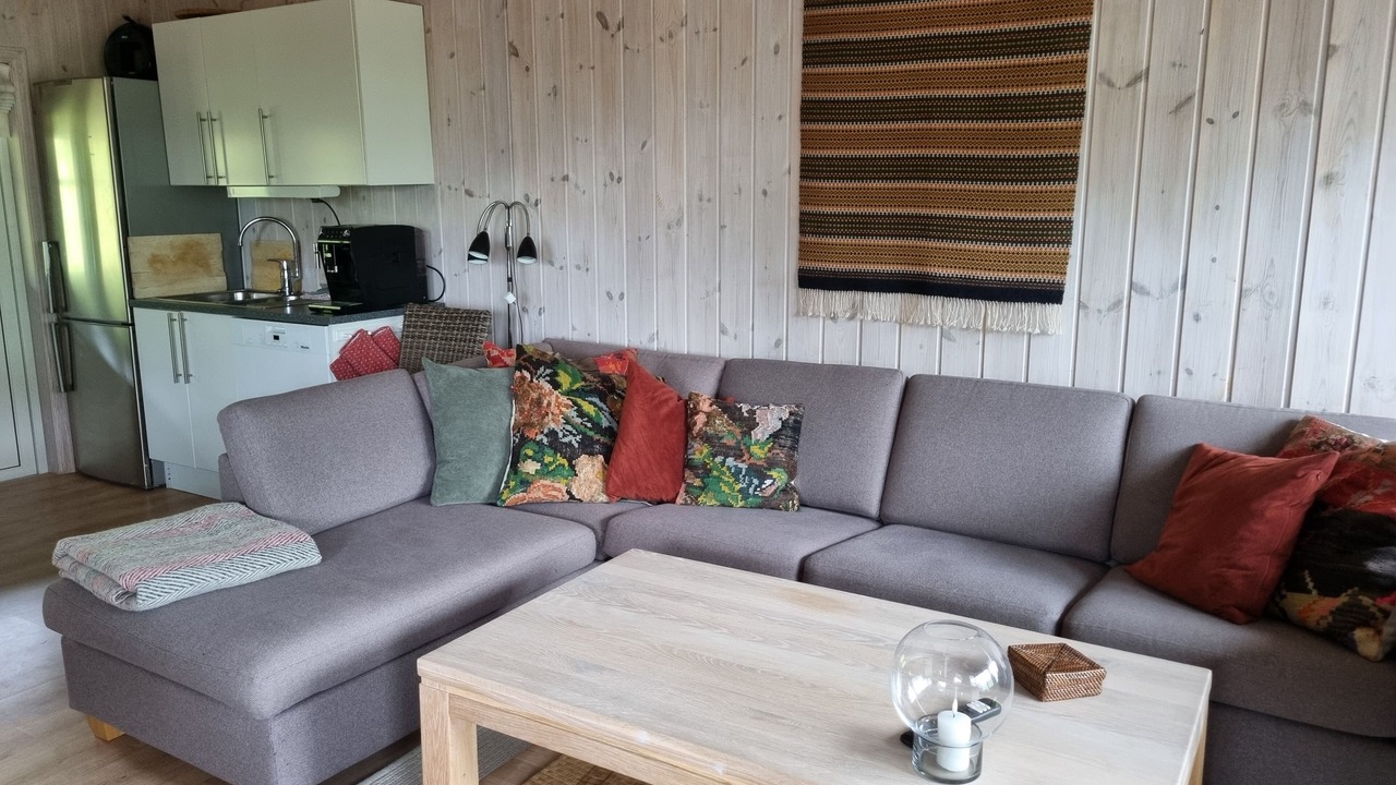 Photo of Livingroom in Myrkdalen