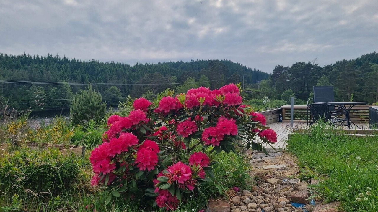 Photo of Outdoor in Oyslebo