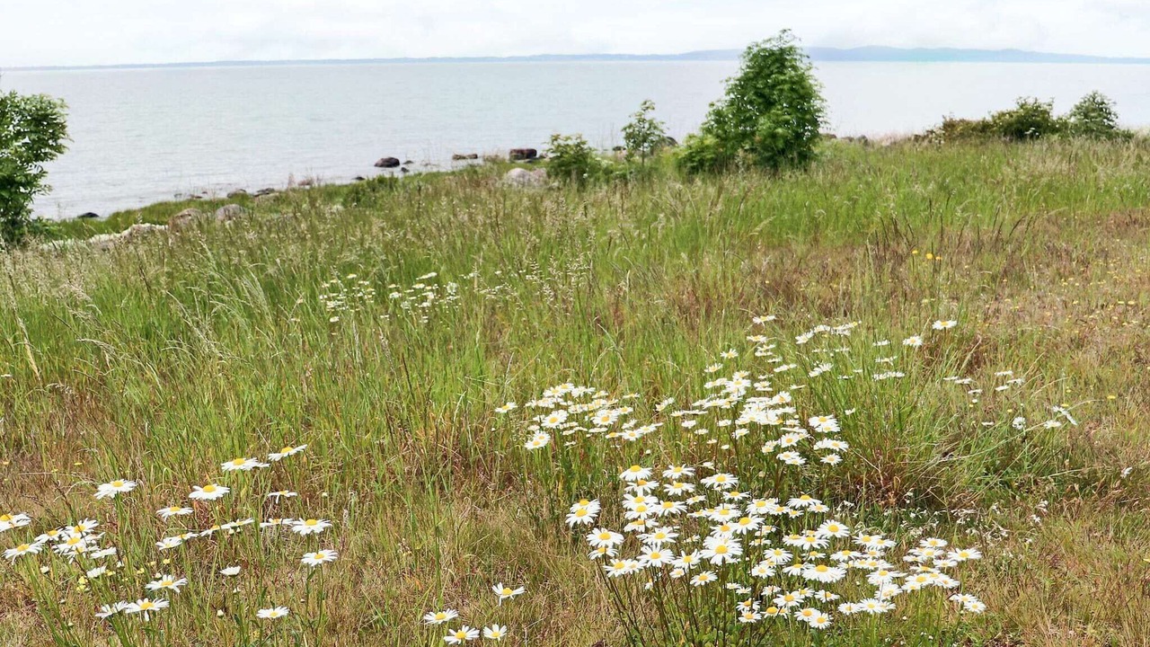 Photo of Others in Lervik