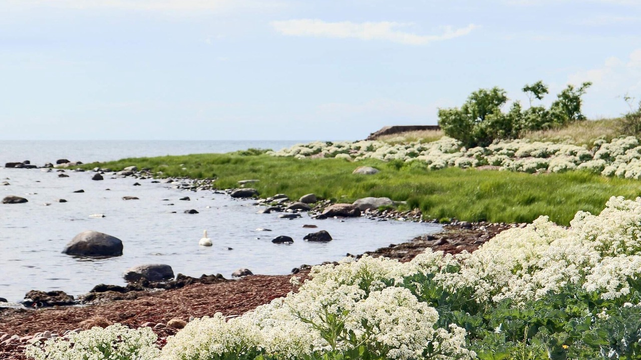 Photo of Others in Lervik