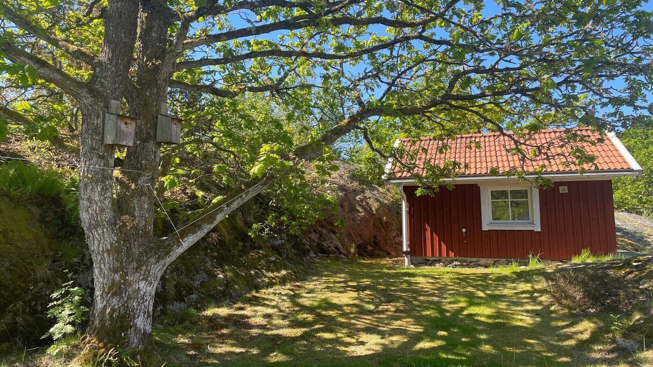 Photo of Outdoor in Ellos