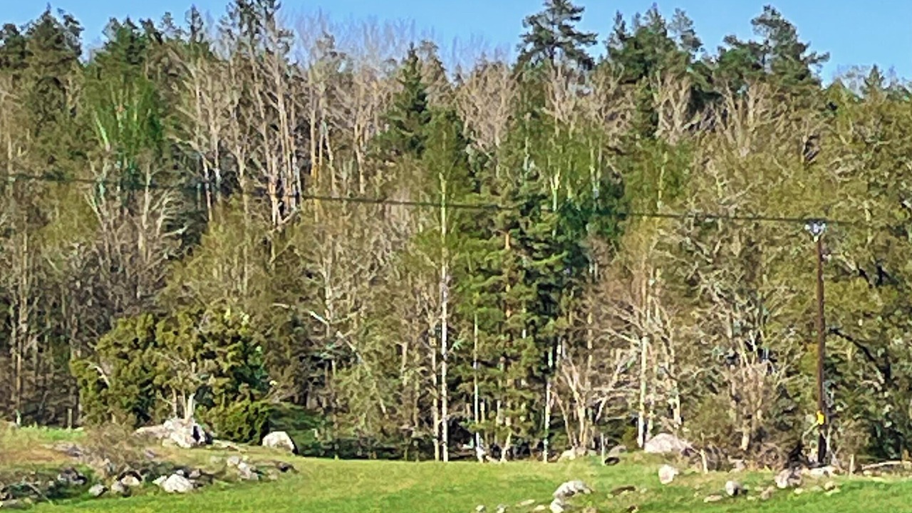 Photo of Others in Oxebo