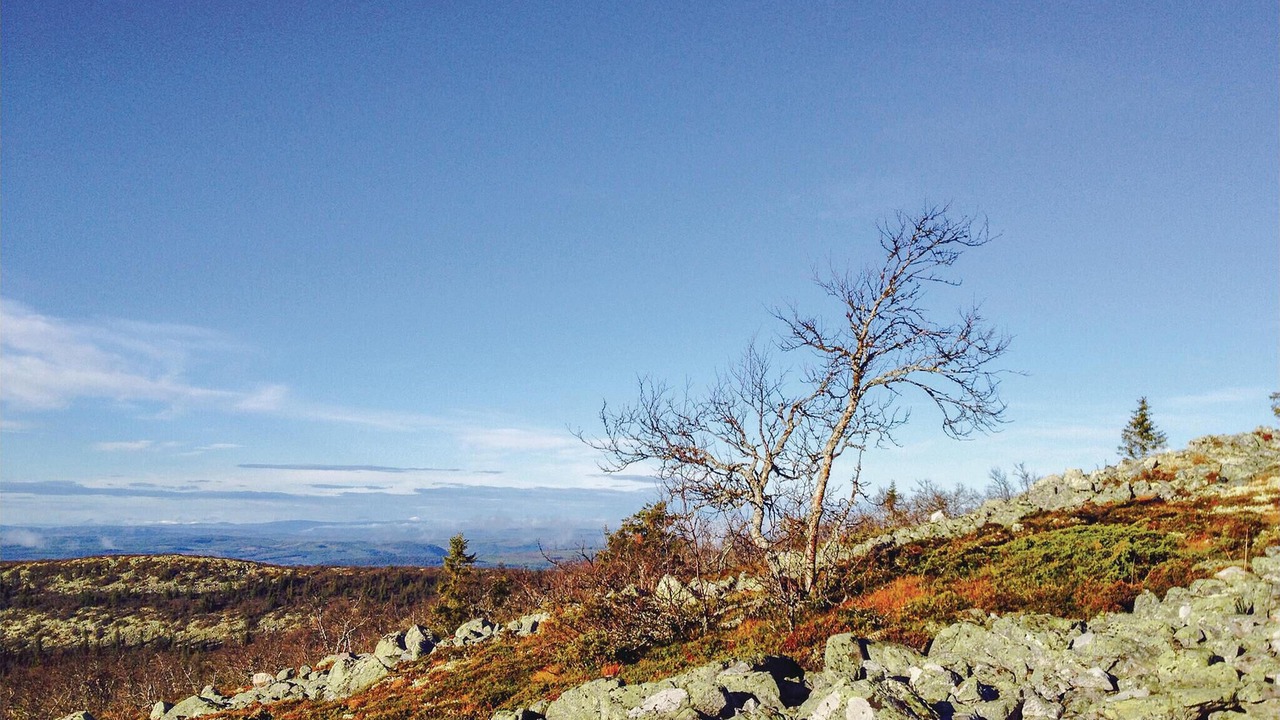 Photo of Others in Vemdalen