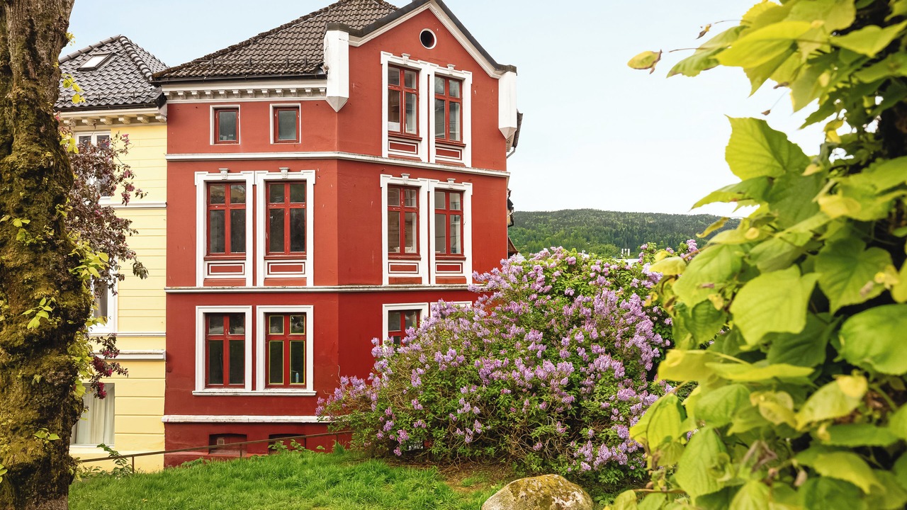 Photo of Outdoor in Bergen City Centre
