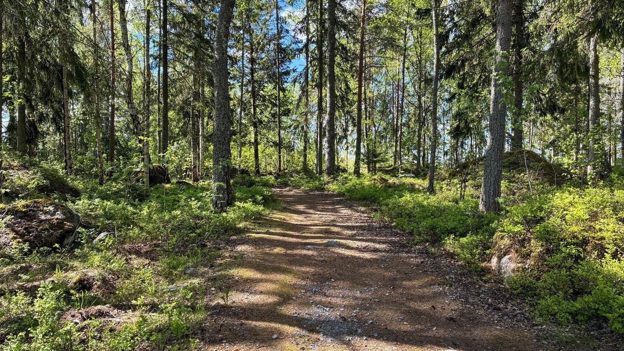 Photo of Others in Vallvik