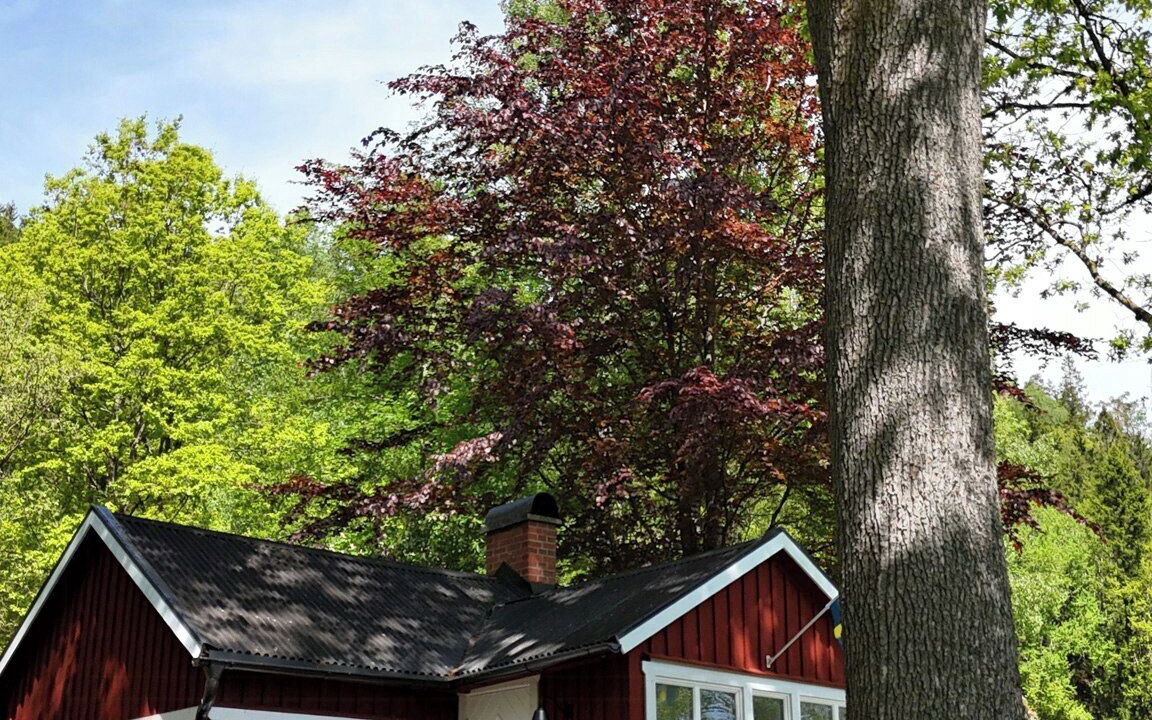 Photo of Outdoor in Boras Municipality