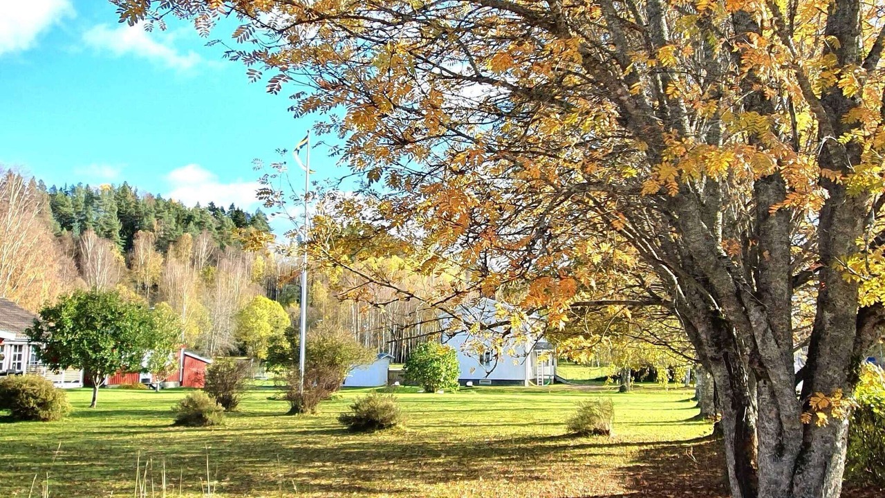 Photo of Outdoor in More