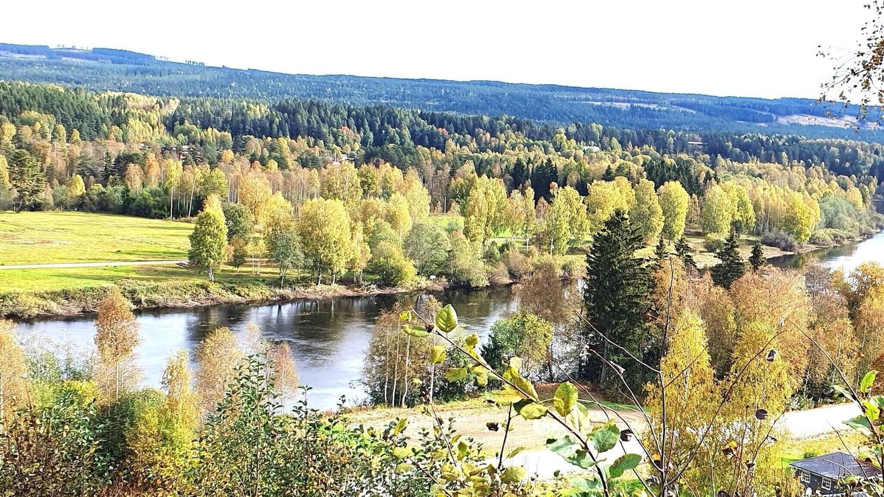 Photo of Outdoor in More
