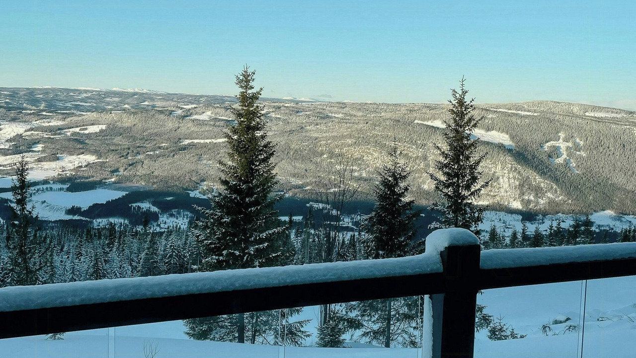 Photo of Outdoor in yer
