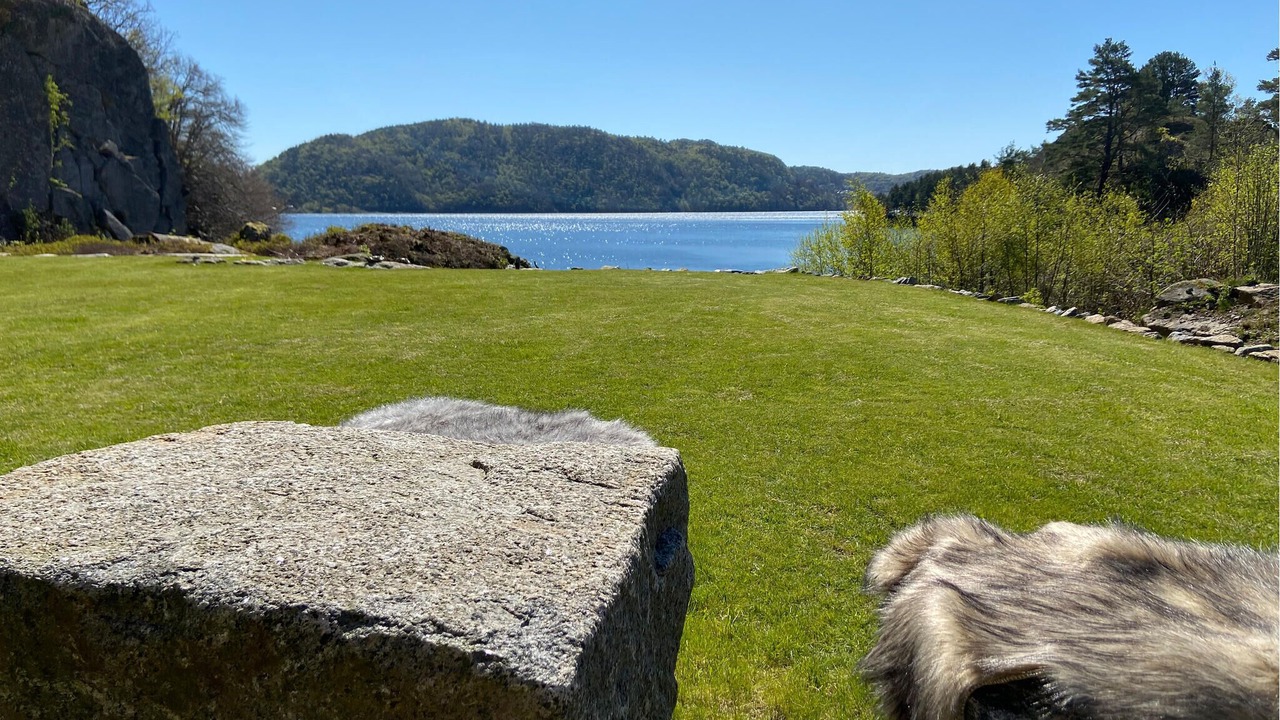 Photo of Others in Lyngdal