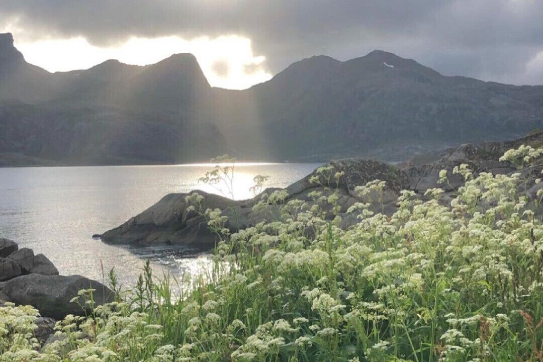 Photo of Others in Ballstad