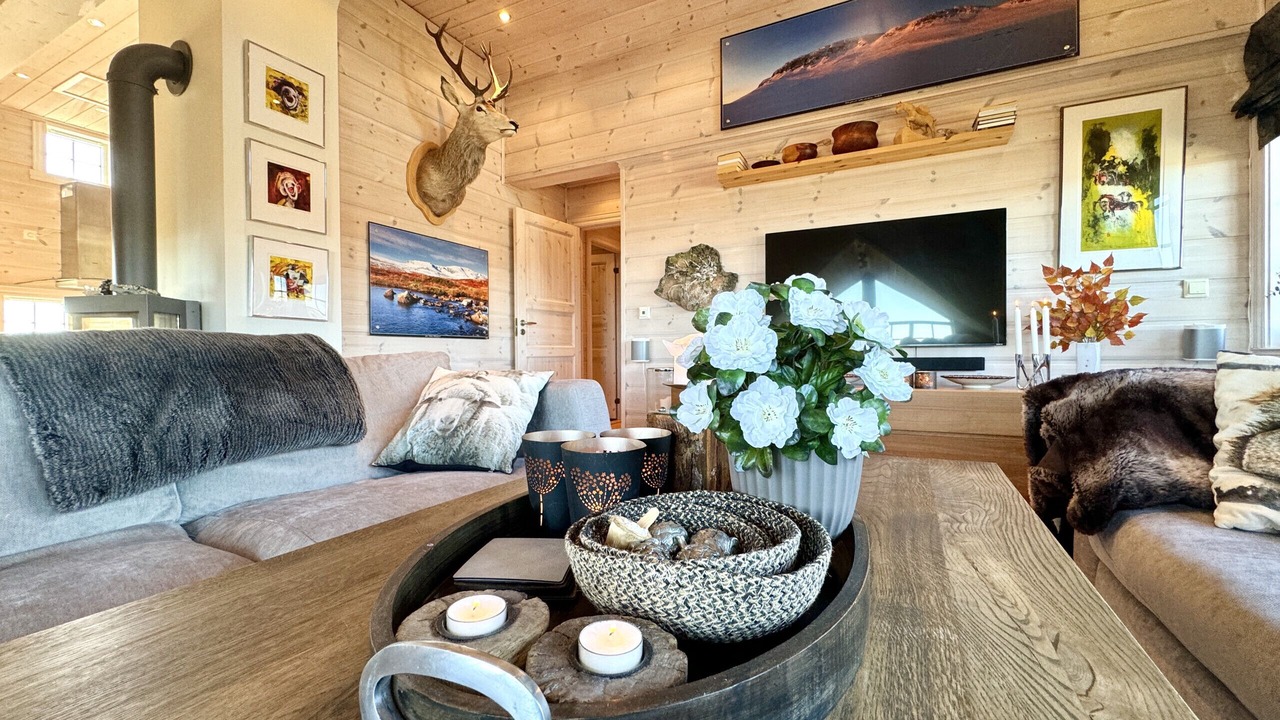 Photo of Livingroom in Hol Municipality