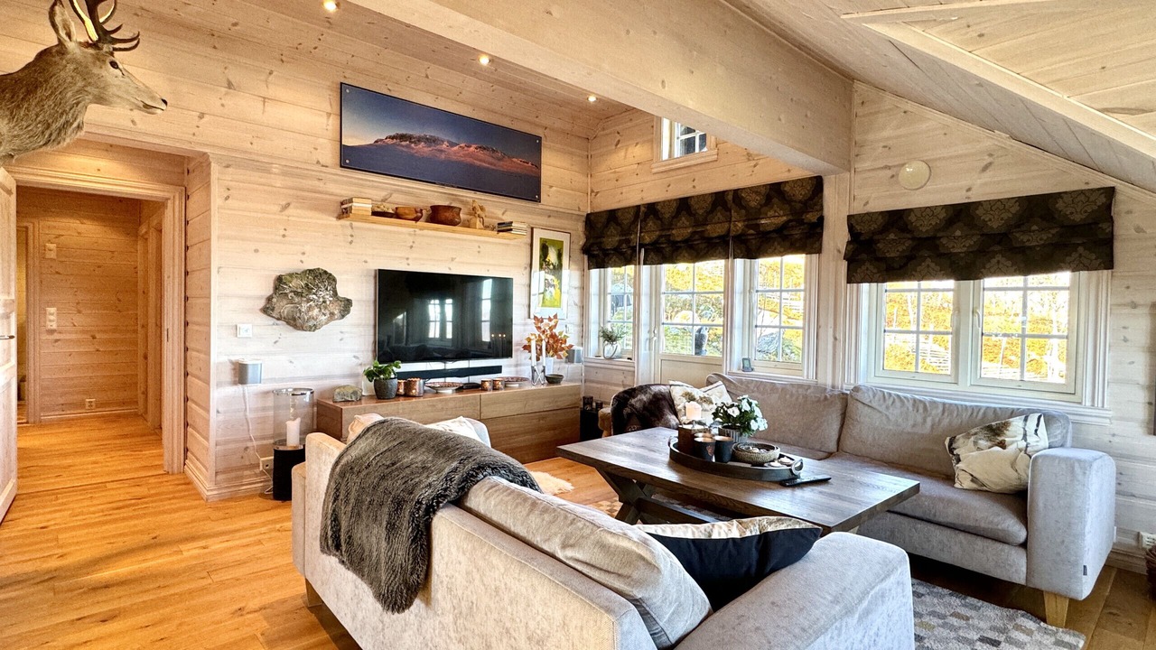 Photo of Livingroom in Hol Municipality