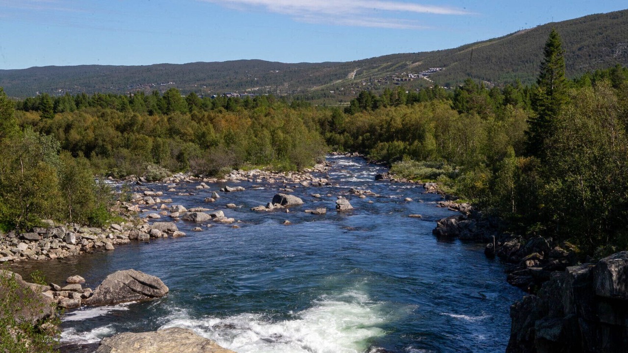Photo of Others in Geilo