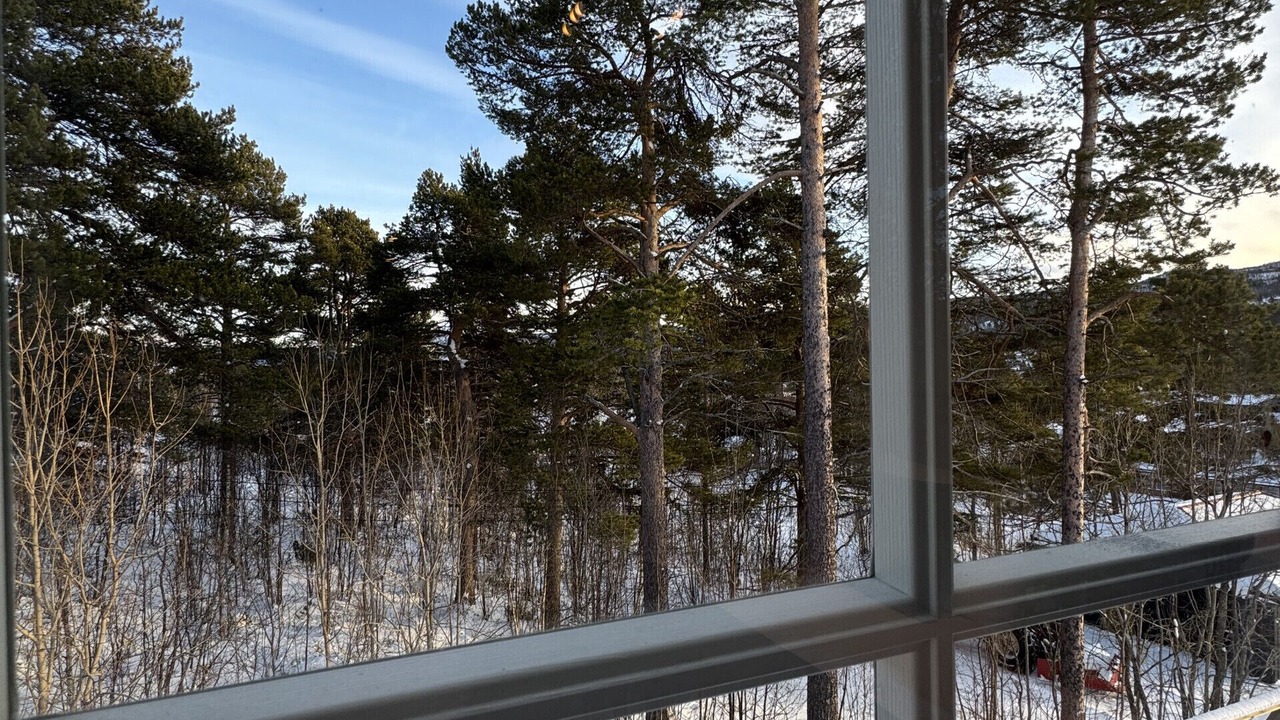 Photo of Others in Geilo