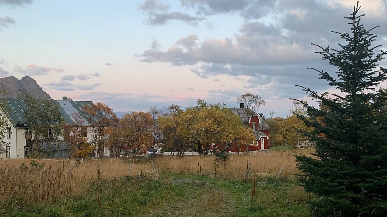 Photo of Others in Vestvagøy