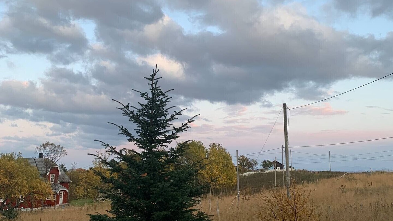 Photo of Others in Vestvagøy