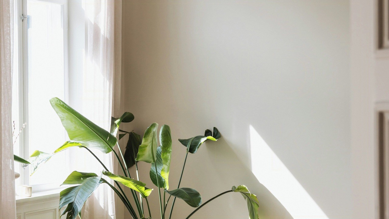 Photo of Others in Frogner