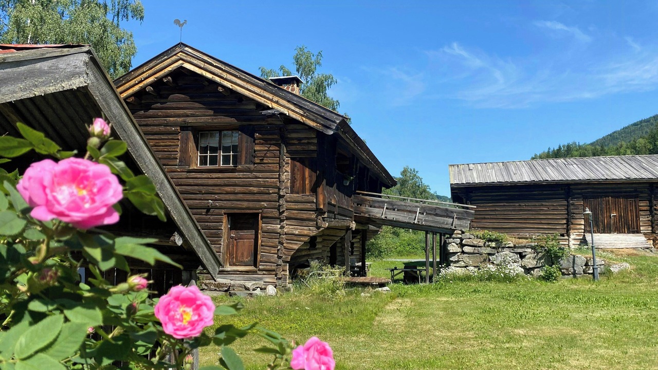Photo of Outdoor in Nore og Uvdal