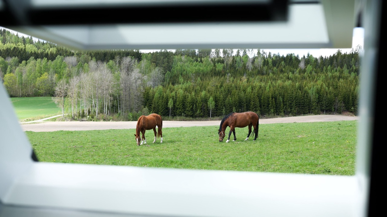 Photo of Others in Åmål