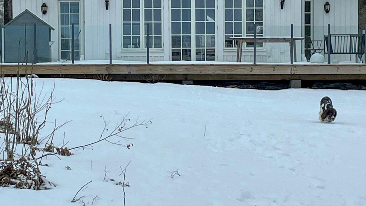 Photo of Outdoor in Eskilstuna