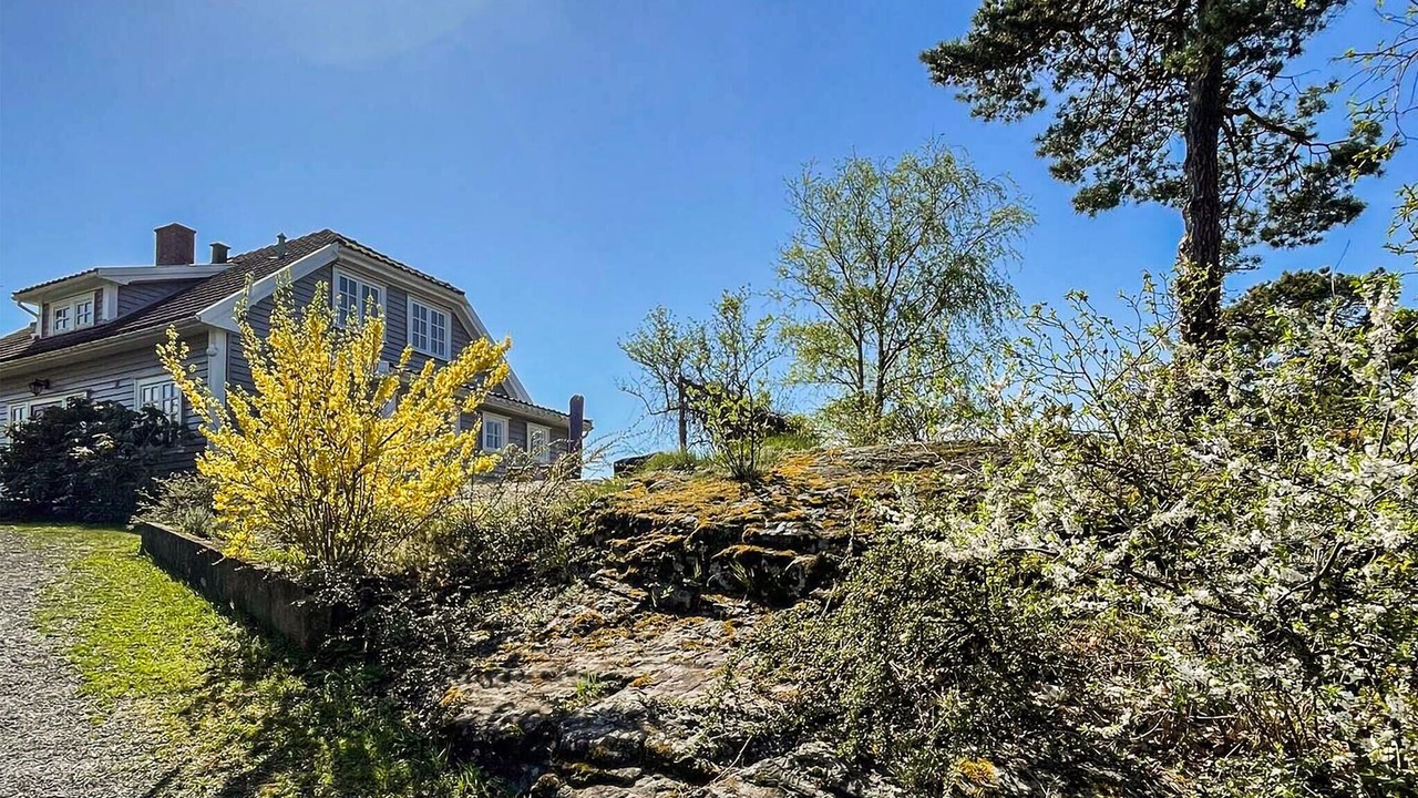 Photo of Others in Langesund
