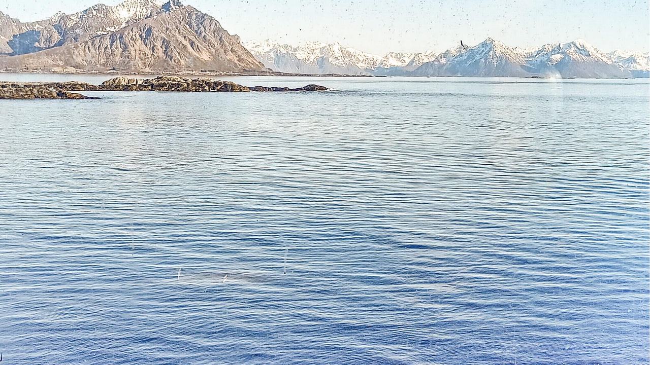 Photo of Others in Bo Municipality