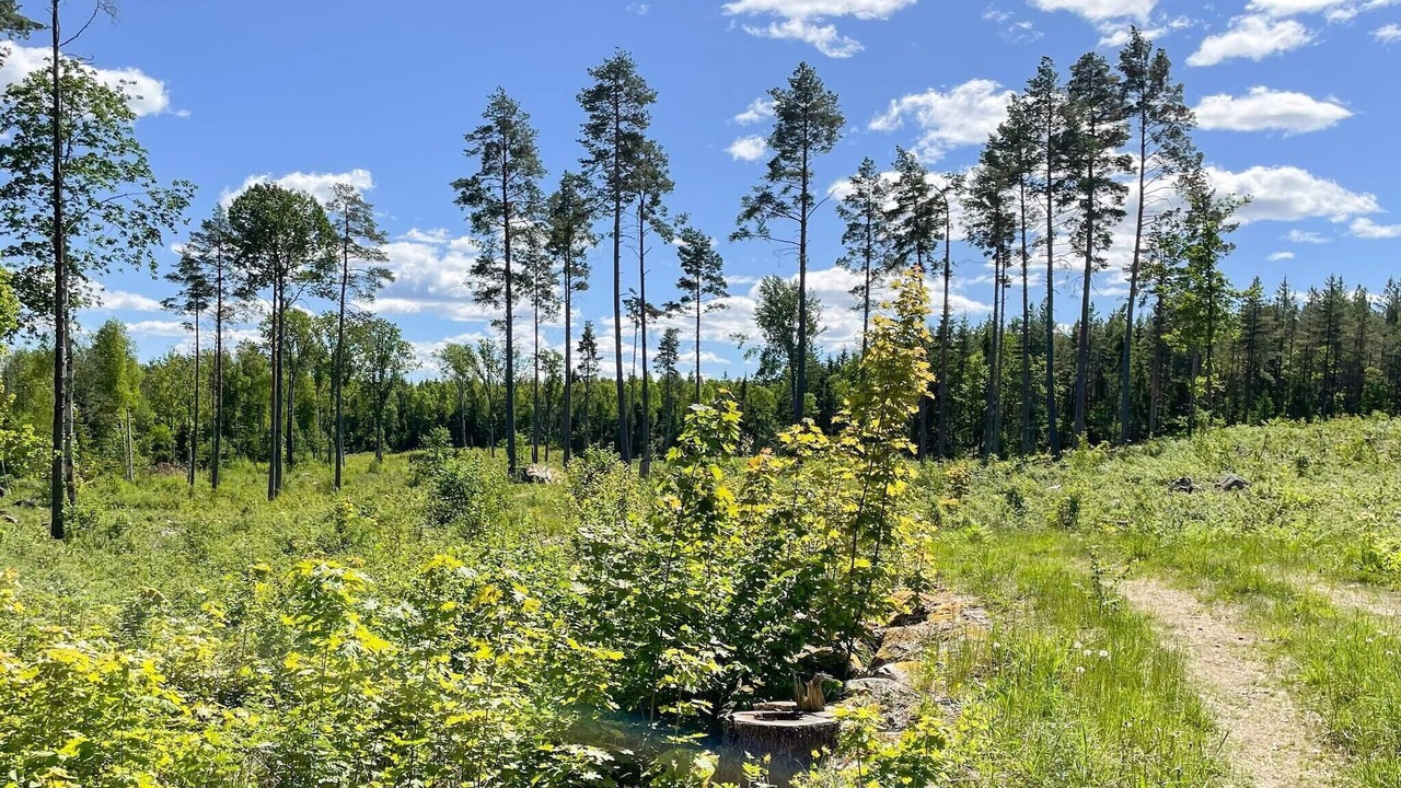 Photo of Outdoor in Ruda