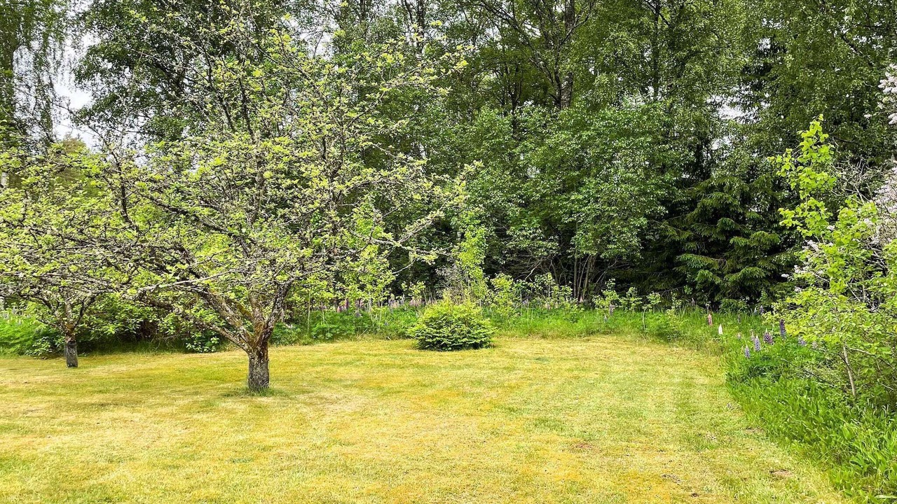 Photo of Outdoor in Hacksvik