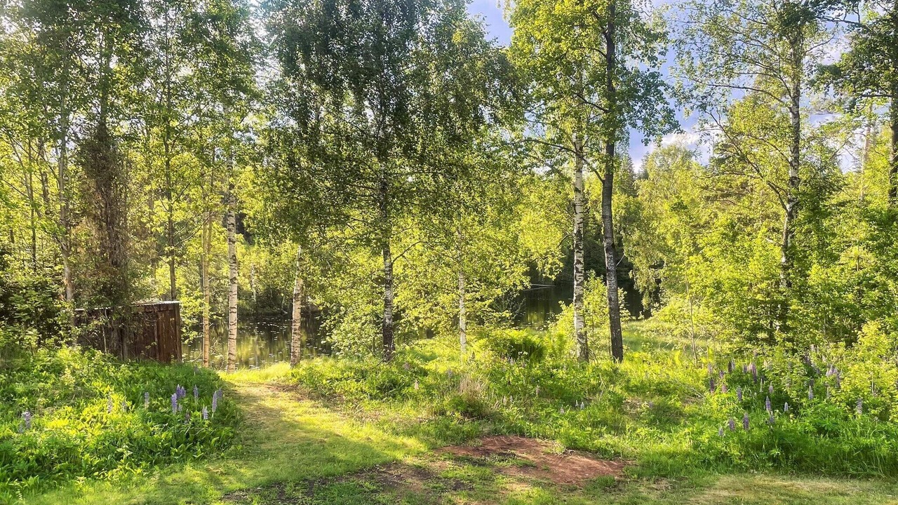 Photo of Outdoor in Hacksvik