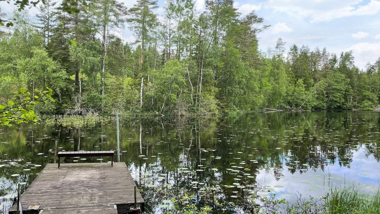 Photo of Others in Hacksvik