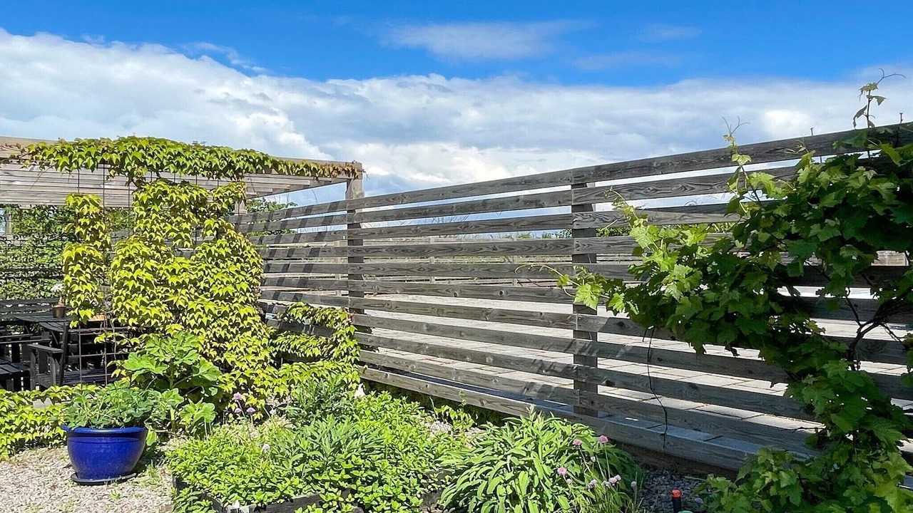 Photo of Outdoor in Morbylanga