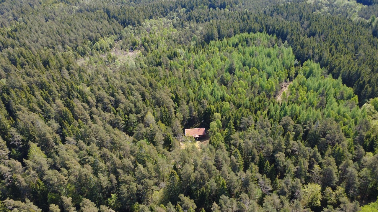 Photo of Outdoor in Annerstad