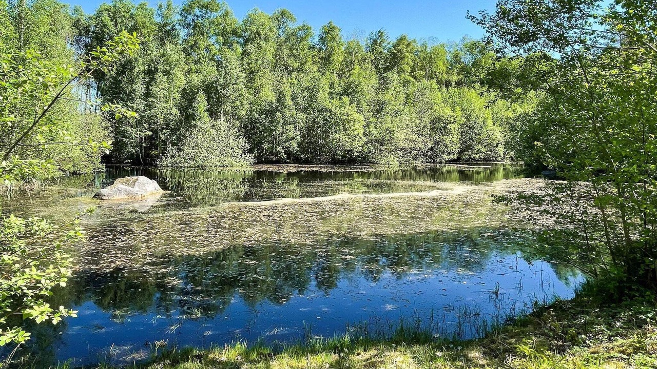 Photo of Outdoor in Gullabo