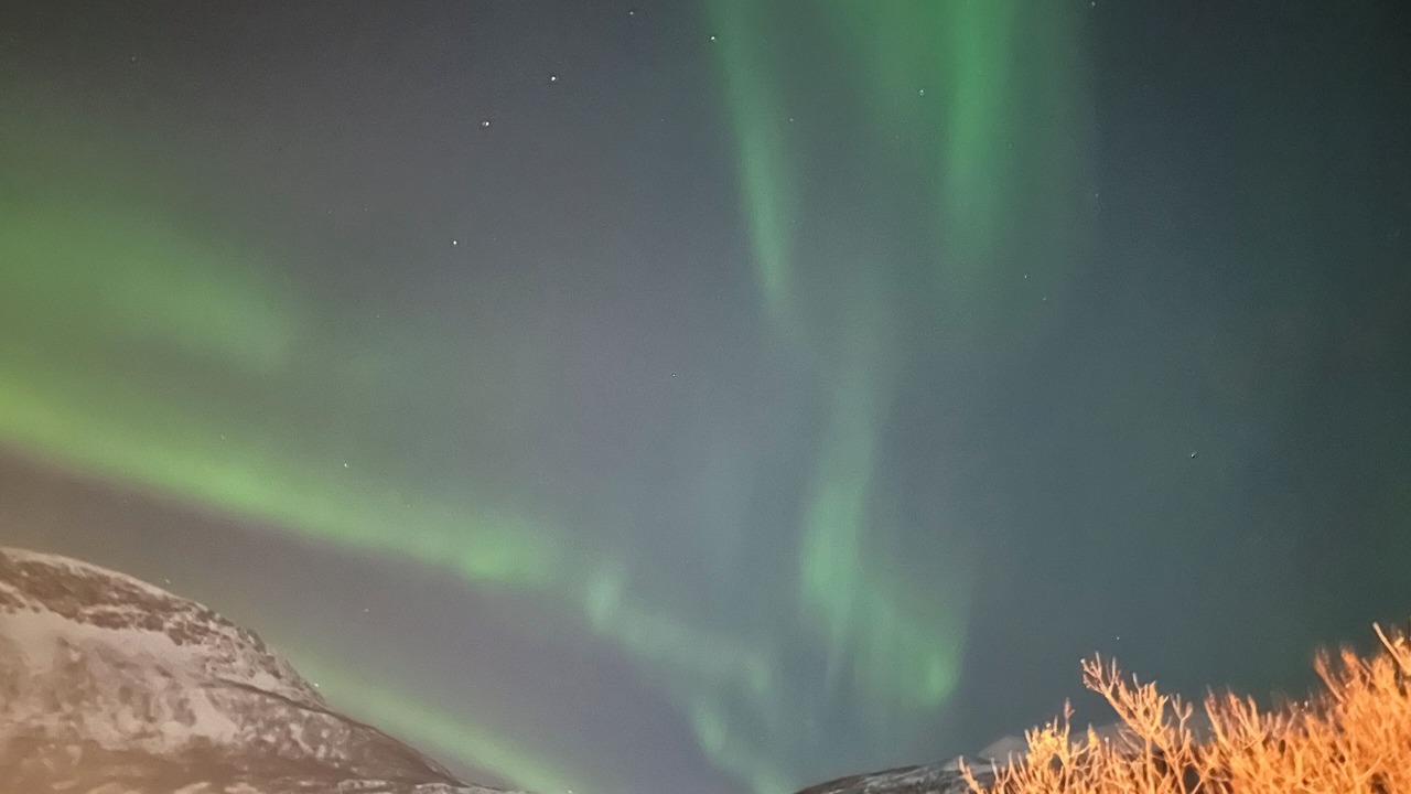 Photo of Others in Narvik