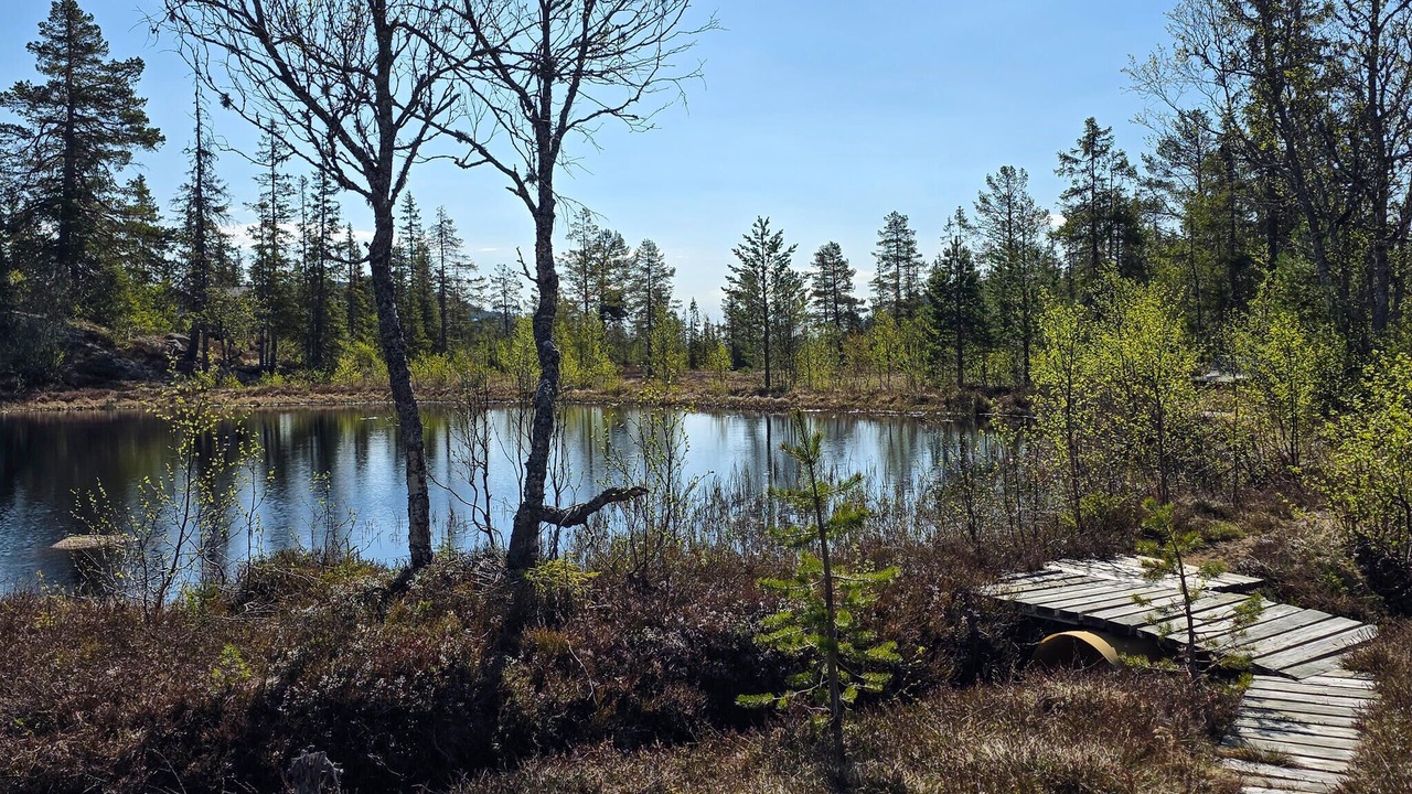 Photo of Others in Hjartdal Municipality