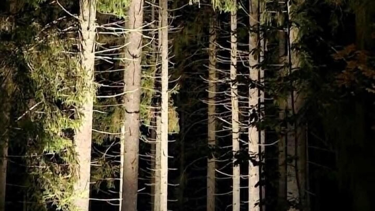 Photo of Others in Urshult