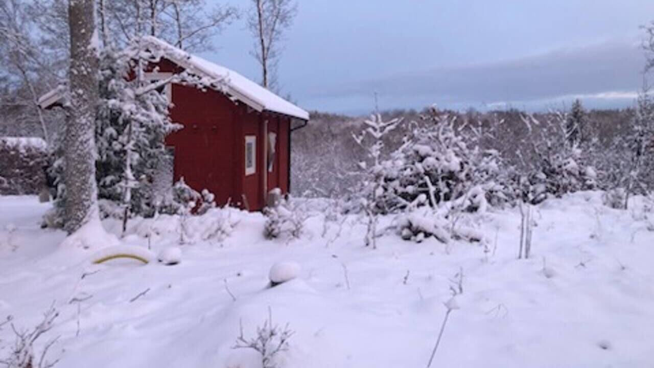 Photo of Outdoor in Ludvigsborg