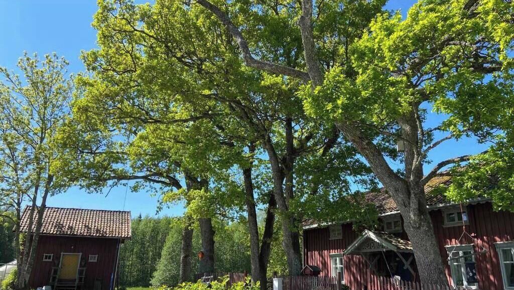 Photo of Outdoor in Marker