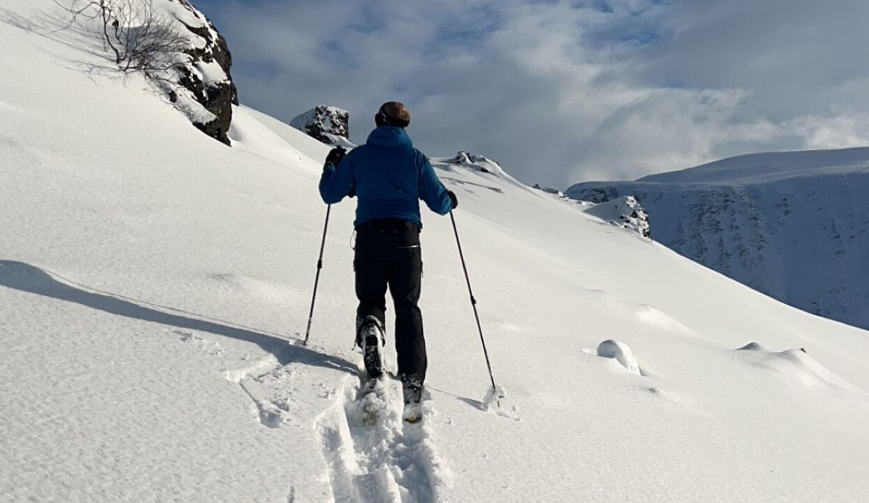 Photo of Others in Alta