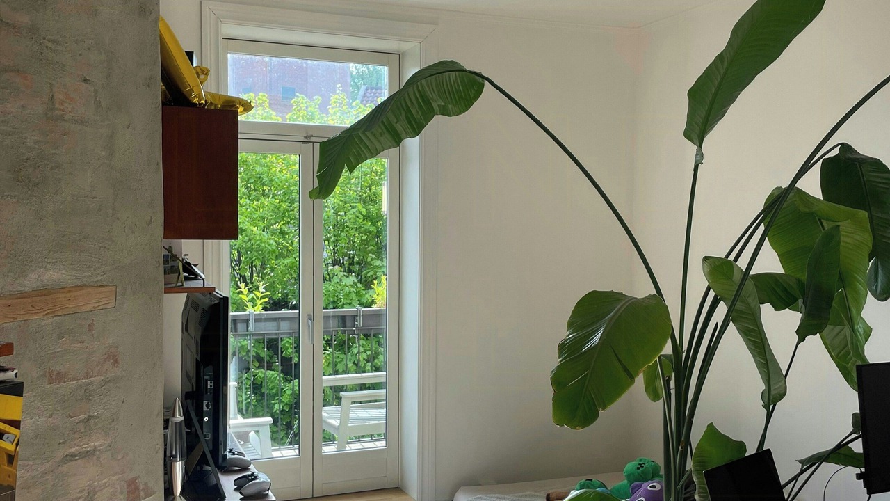 Photo of Bedroom in Toyen
