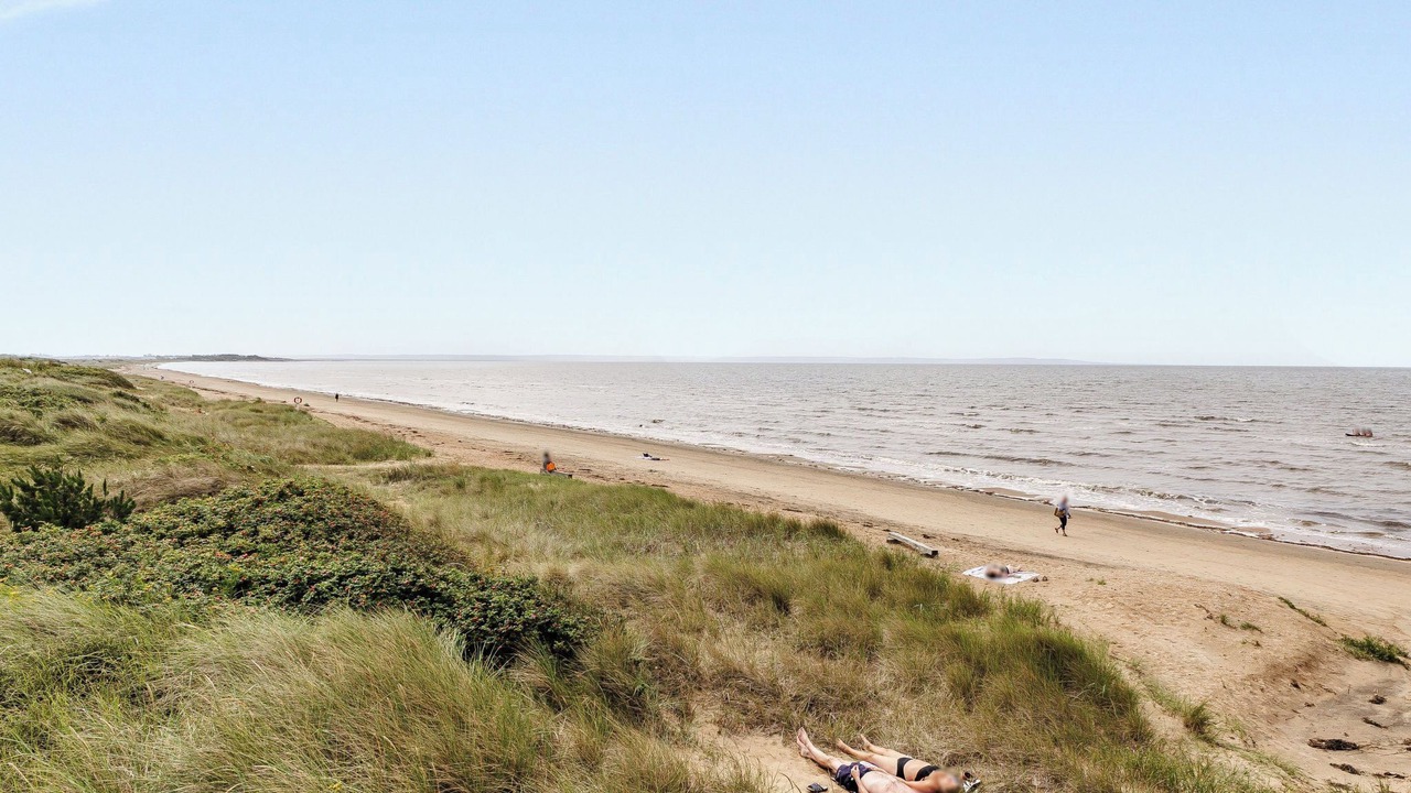 Photo of Others in Halmstad