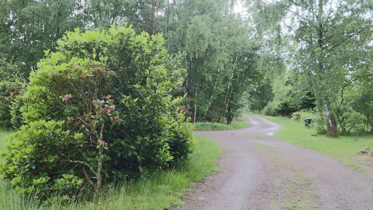 Photo of Outdoor in Fasalt