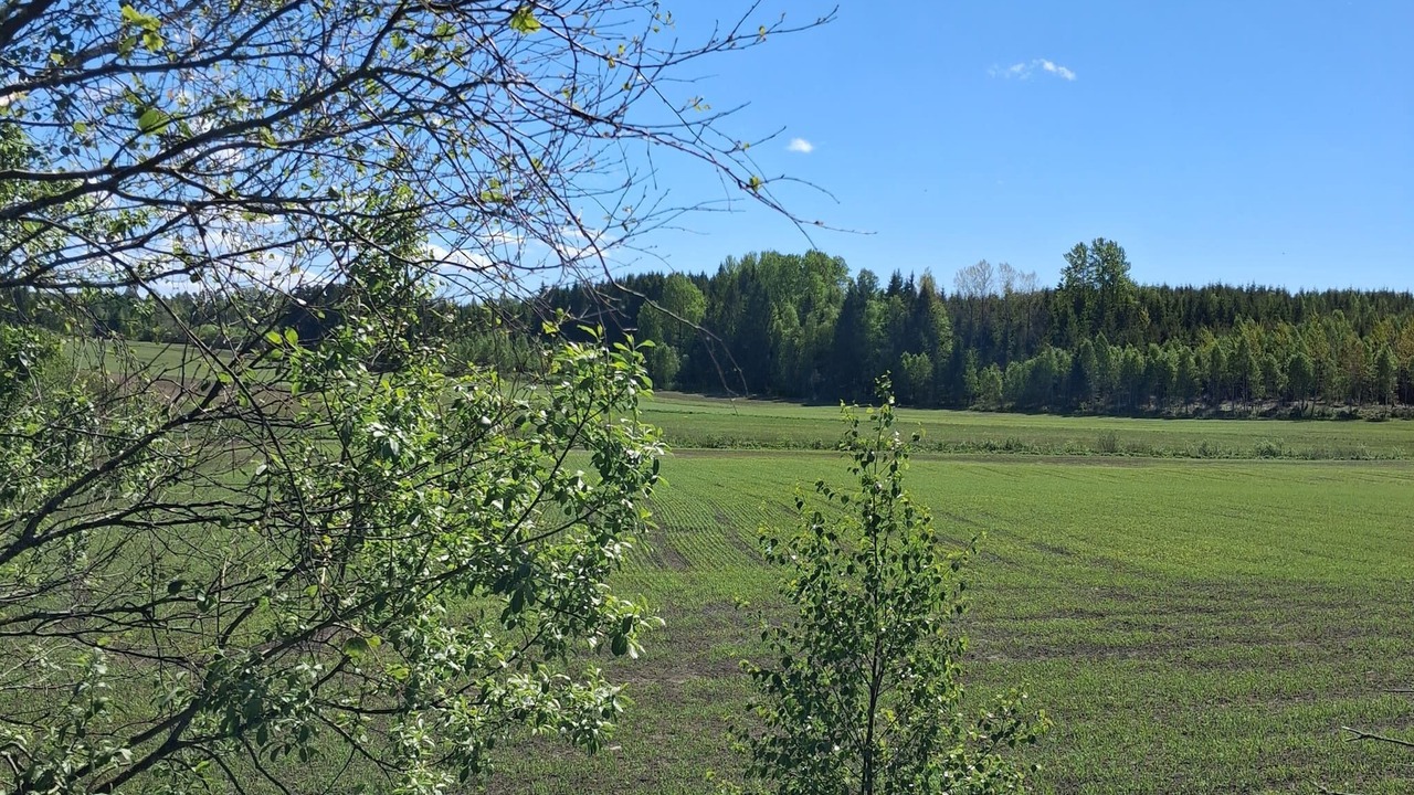 Photo of Others in Bullaren