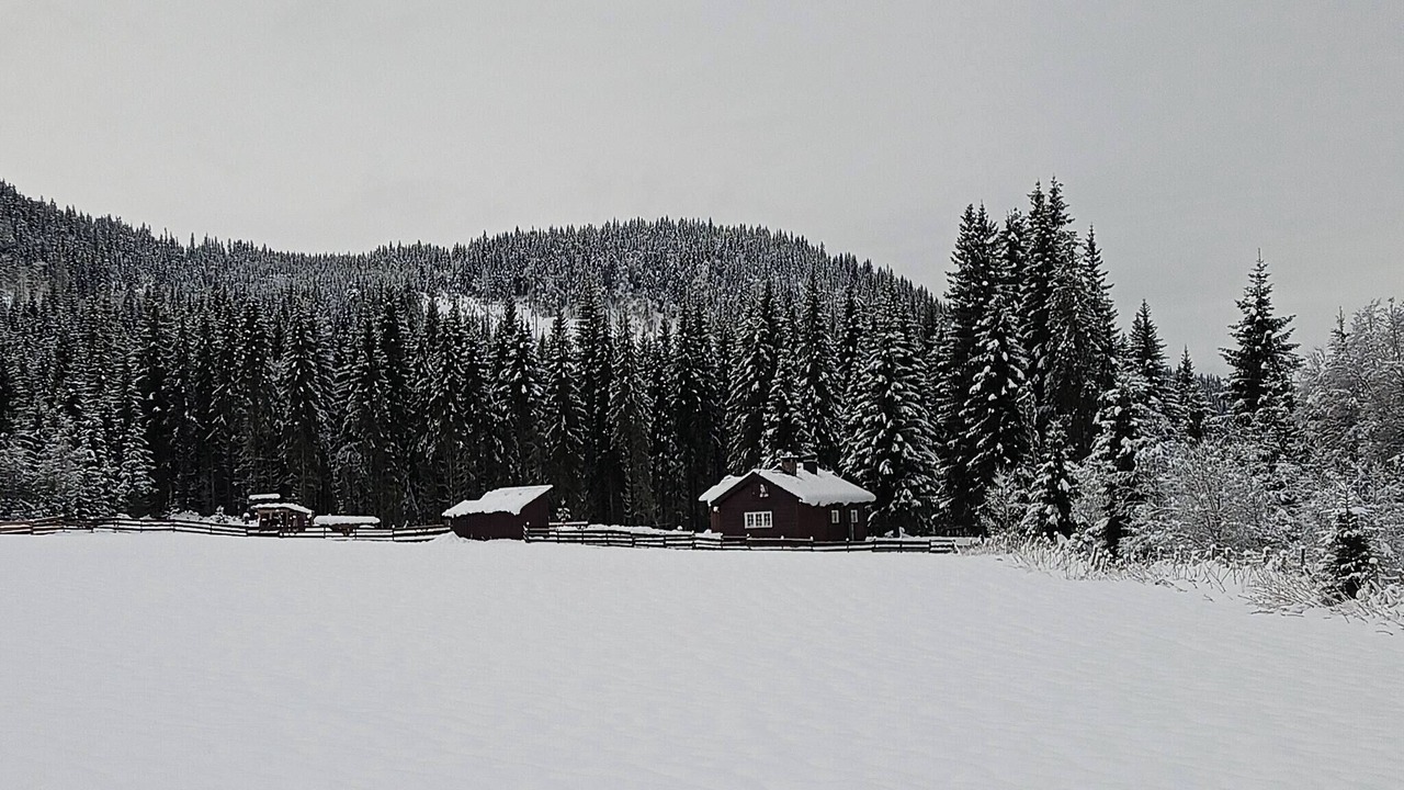 Photo of Others in Lillehammer