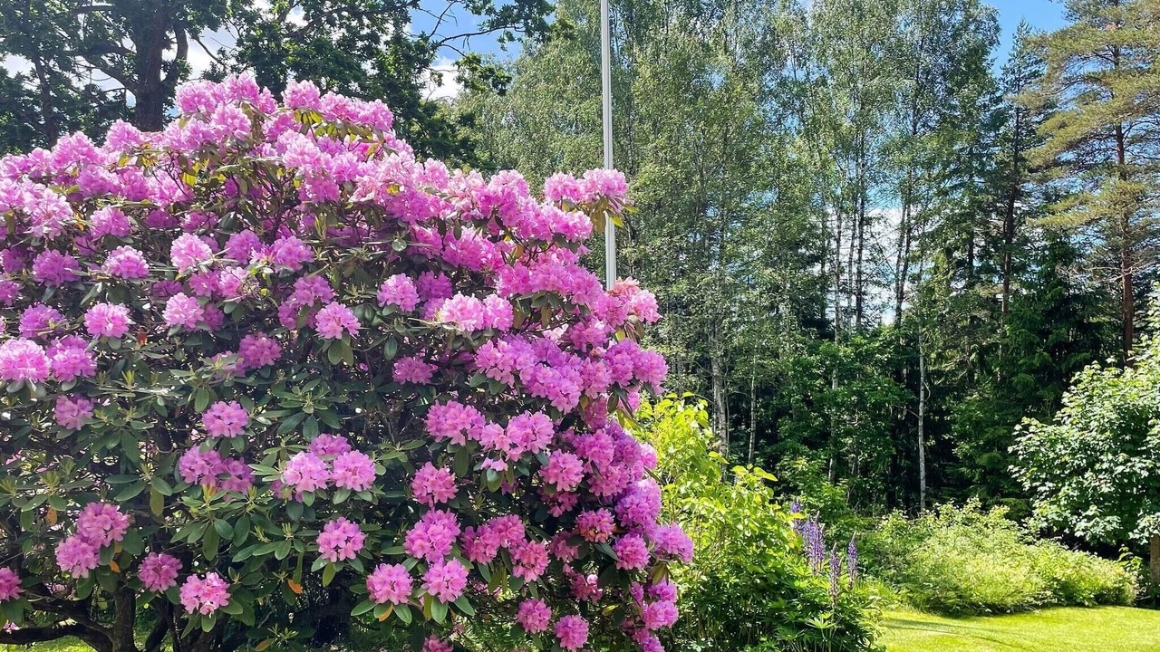 Photo of Outdoor in Hindas