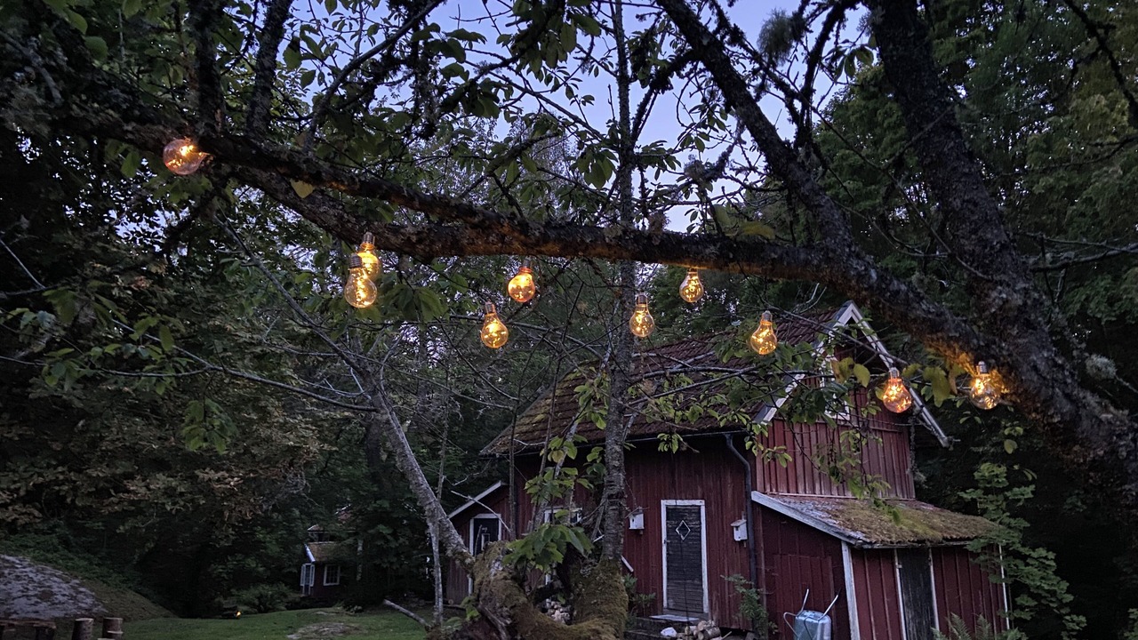 Photo of Outdoor in Tived